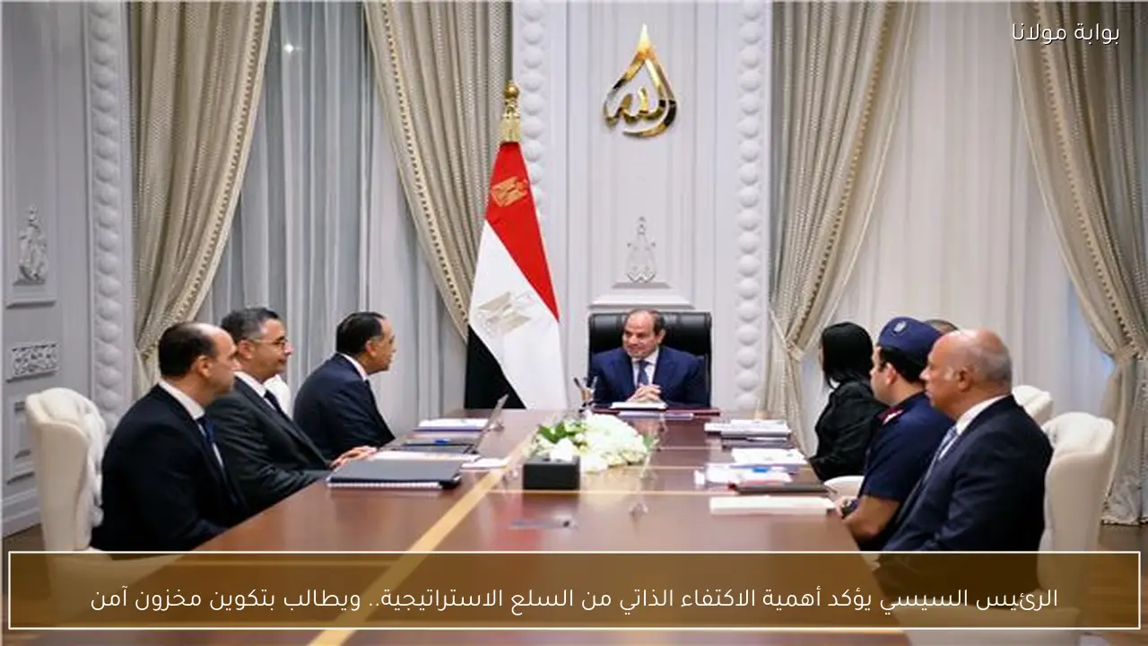 الرئيس السيسي يؤكد أهمية الاكتفاء الذاتي من السلع الاستراتيجية.. ويطالب بتكوين مخزون آمن