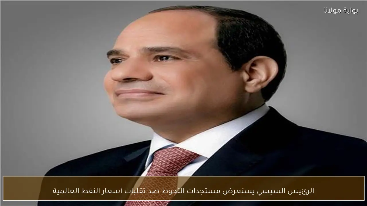 الرئيس السيسي يستعرض مستجدات التحوط ضد تقلبات أسعار النفط العالمية