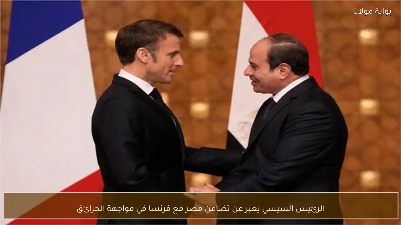 الرئيس السيسي يعبر عن تضامن مصر مع فرنسا في مواجهة الحرائق