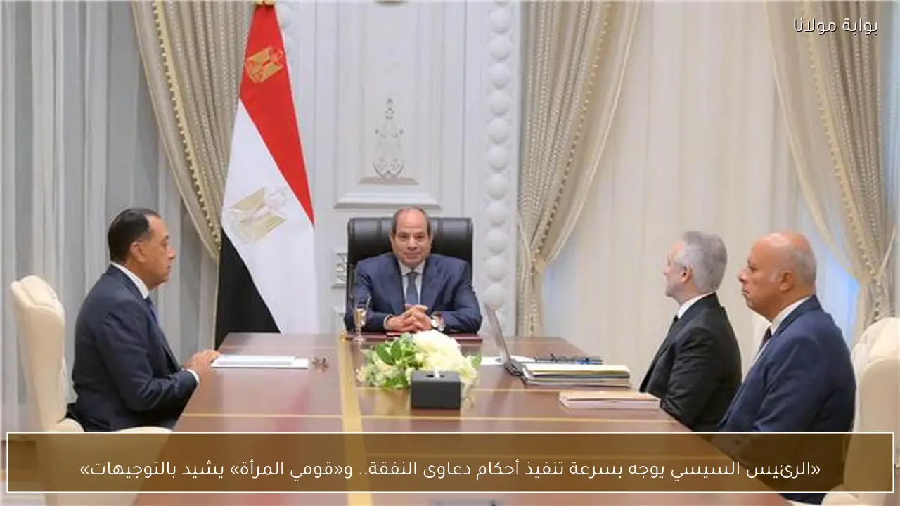 «الرئيس السيسي يوجه بسرعة تنفيذ أحكام دعاوى النفقة.. و«قومي المرأة» يشيد بالتوجيهات»