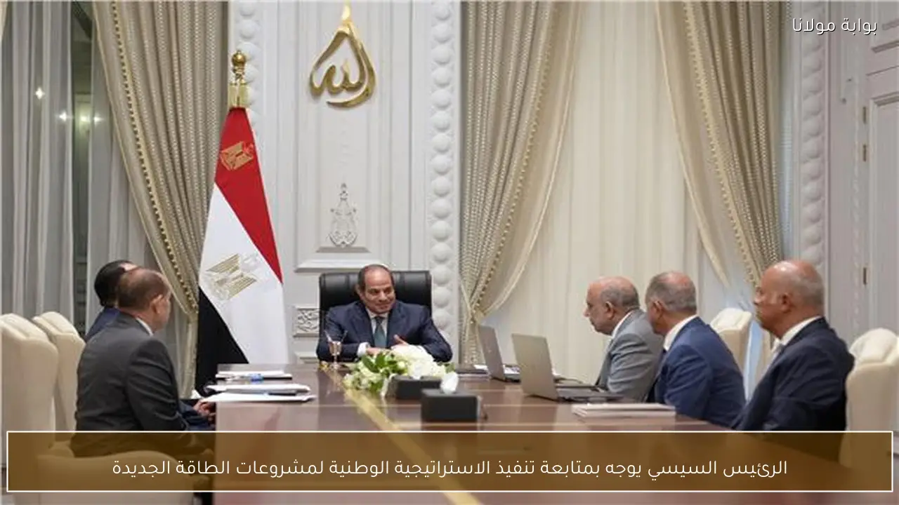 الرئيس السيسي يوجه بمتابعة تنفيذ الاستراتيجية الوطنية لمشروعات الطاقة الجديدة
