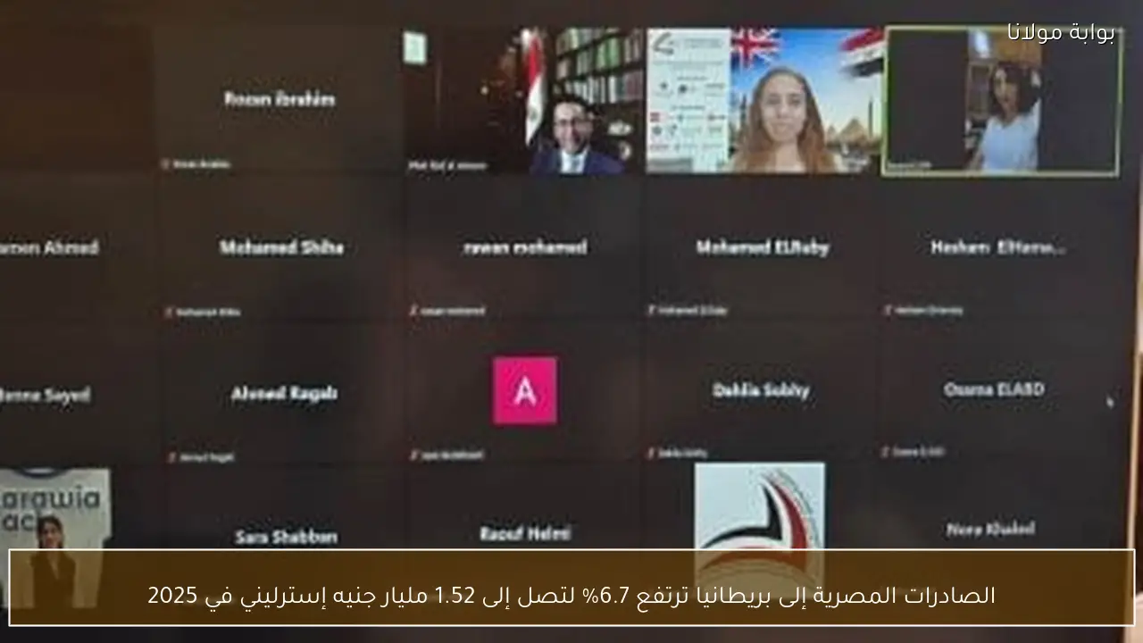 الصادرات المصرية إلى بريطانيا ترتفع 6.7% لتصل إلى 1.52 مليار جنيه إسترليني في 2025