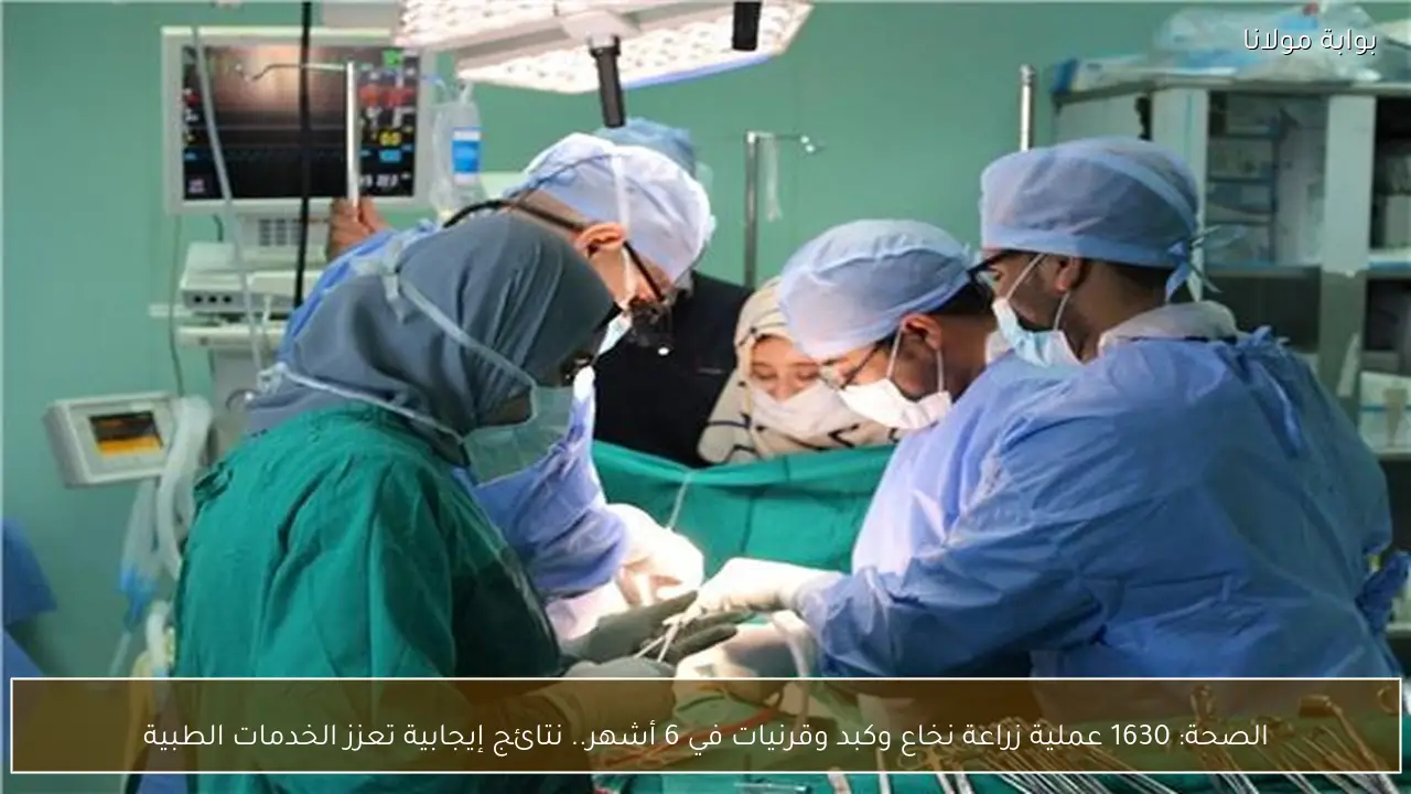الصحة: 1630 عملية زراعة نخاع وكبد وقرنيات في 6 أشهر.. نتائج إيجابية تعزز الخدمات الطبية