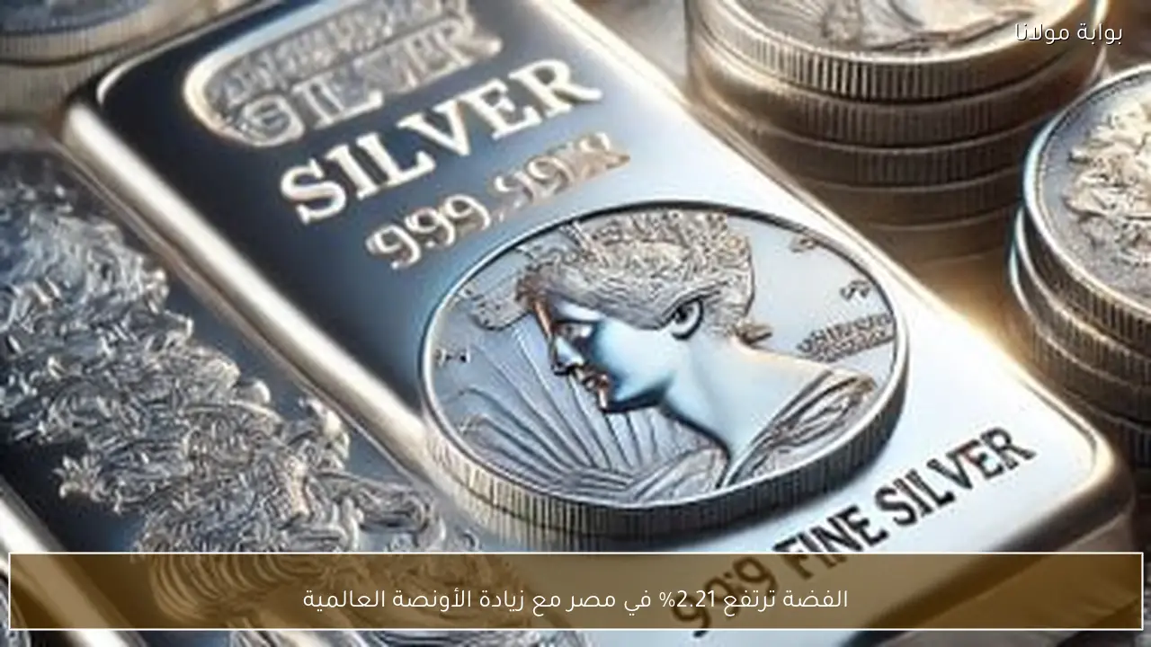 الفضة ترتفع 2.21% في مصر مع زيادة الأونصة العالمية