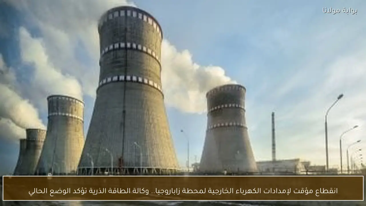 انقطاع مؤقت لإمدادات الكهرباء الخارجية لمحطة زاباروجيا.. وكالة الطاقة الذرية تؤكد الوضع الحالي