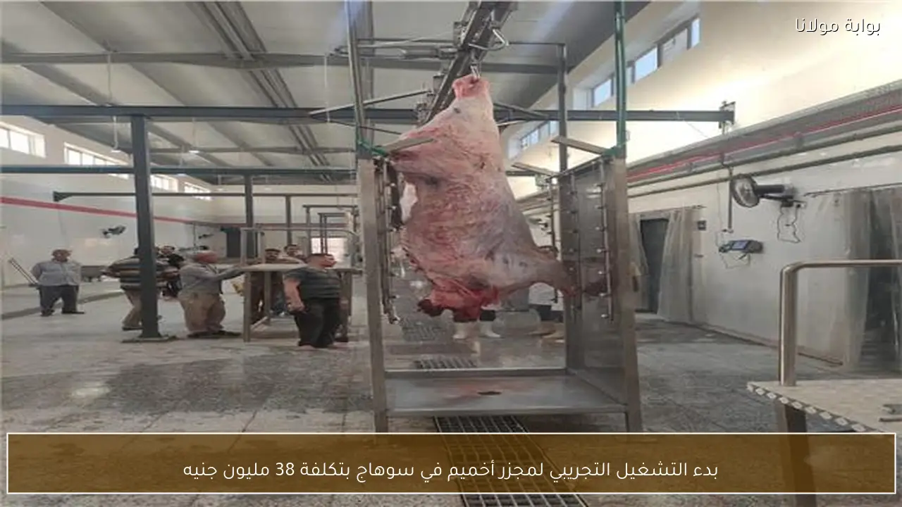 بدء التشغيل التجريبي لمجزر أخميم في سوهاج بتكلفة 38 مليون جنيه