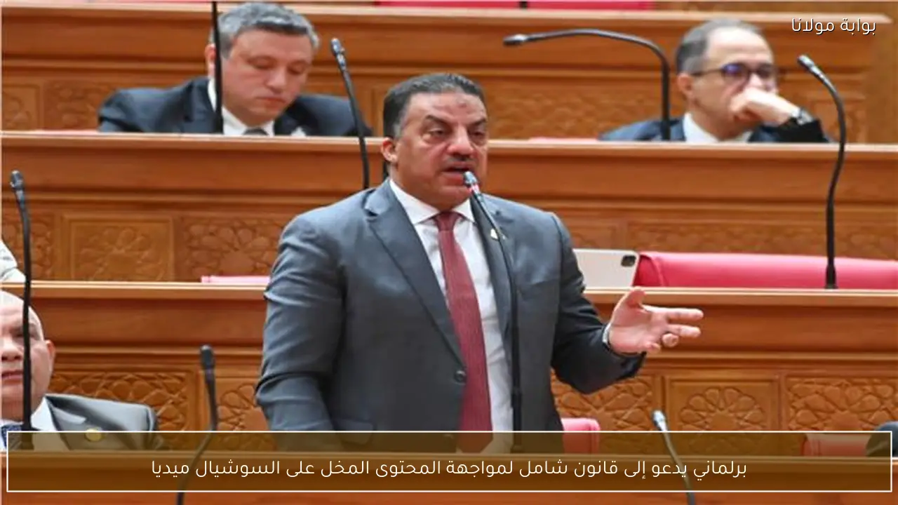 برلماني يدعو إلى قانون شامل لمواجهة المحتوى المخل على السوشيال ميديا