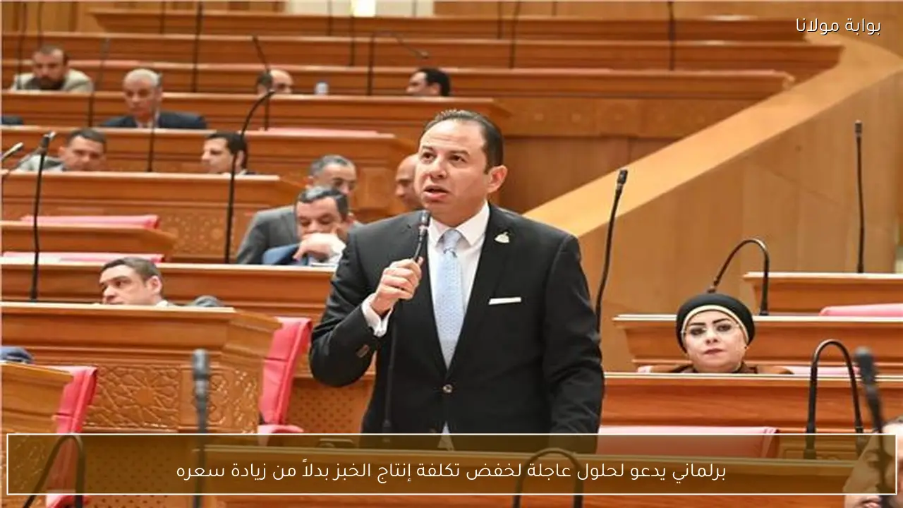 برلماني يدعو لحلول عاجلة لخفض تكلفة إنتاج الخبز بدلاً من زيادة سعره