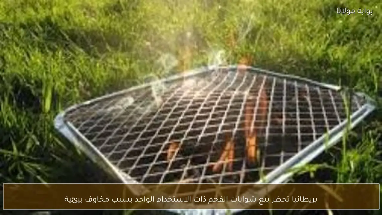 بريطانيا تحظر بيع شوايات الفحم ذات الاستخدام الواحد بسبب مخاوف بيئية