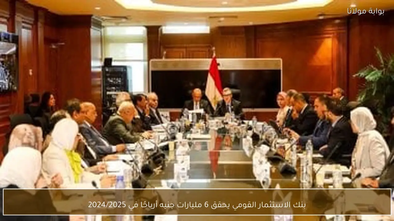 بنك الاستثمار القومي يحقق 6 مليارات جنيه أرباحًا في 2024/2025