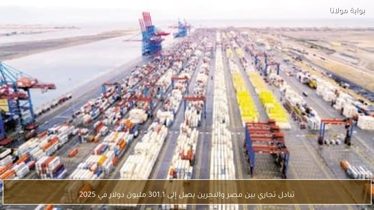 تبادل تجاري بين مصر والبحرين يصل إلى 301.1 مليون دولار في 2025