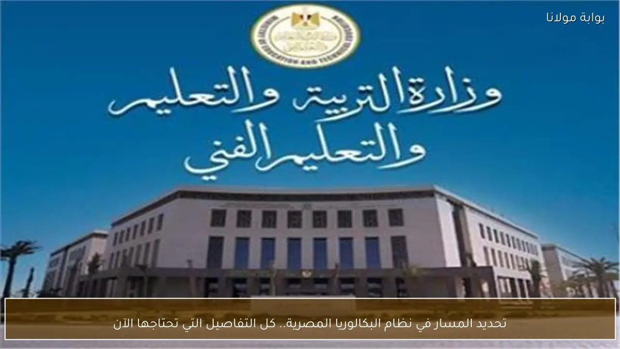 تحديد المسار في نظام البكالوريا المصرية.. كل التفاصيل التي تحتاجها الآن