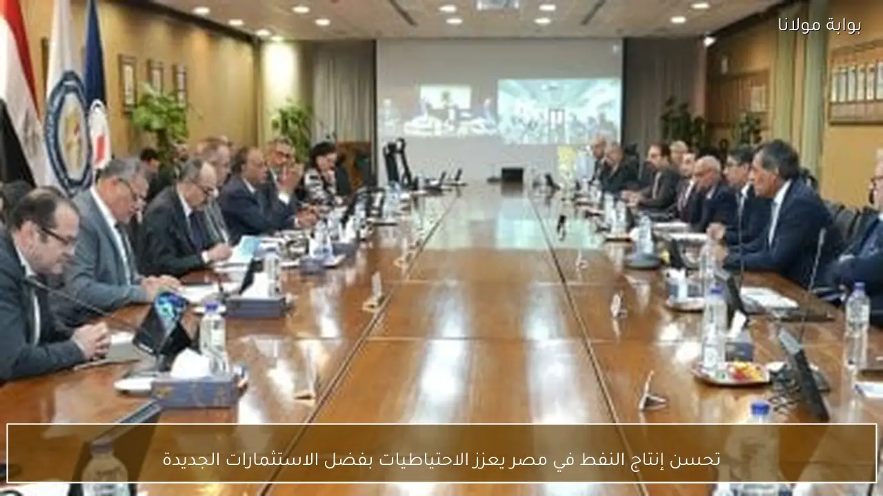 تحسن إنتاج النفط في مصر يعزز الاحتياطيات بفضل الاستثمارات الجديدة
