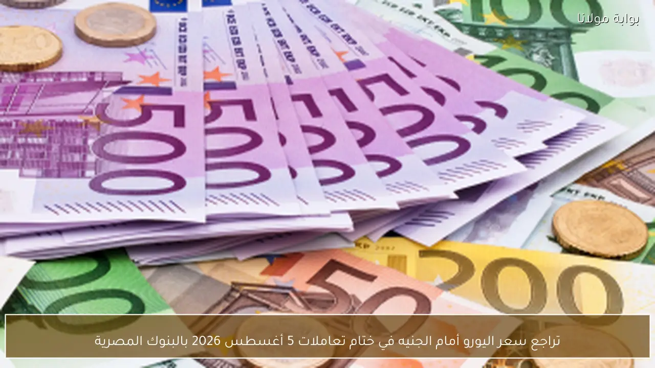تراجع سعر اليورو أمام الجنيه في ختام تعاملات 5 أغسطس 2026 بالبنوك المصرية