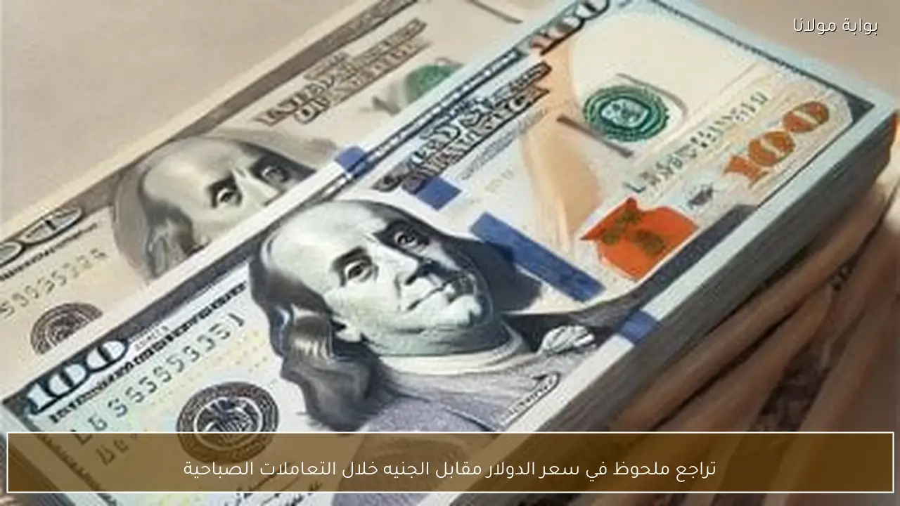 تراجع ملحوظ في سعر الدولار مقابل الجنيه خلال التعاملات الصباحية
