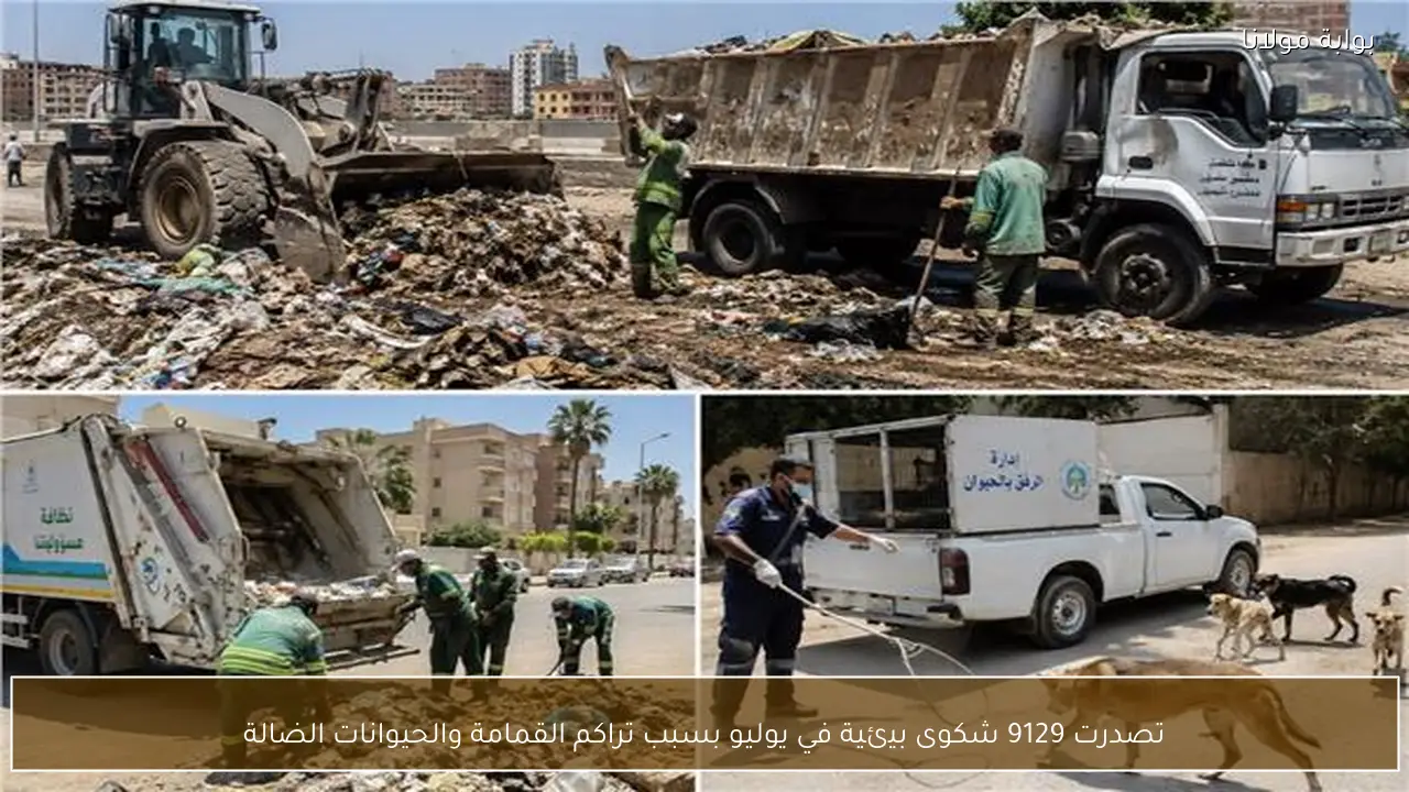 تصدرت 9129 شكوى بيئية في يوليو بسبب تراكم القمامة والحيوانات الضالة