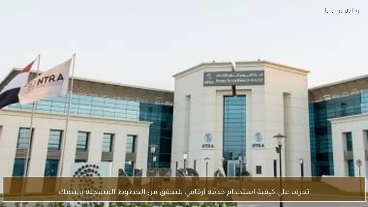 تعرف على كيفية استخدام خدمة أرقامي للتحقق من الخطوط المسجلة باسمك