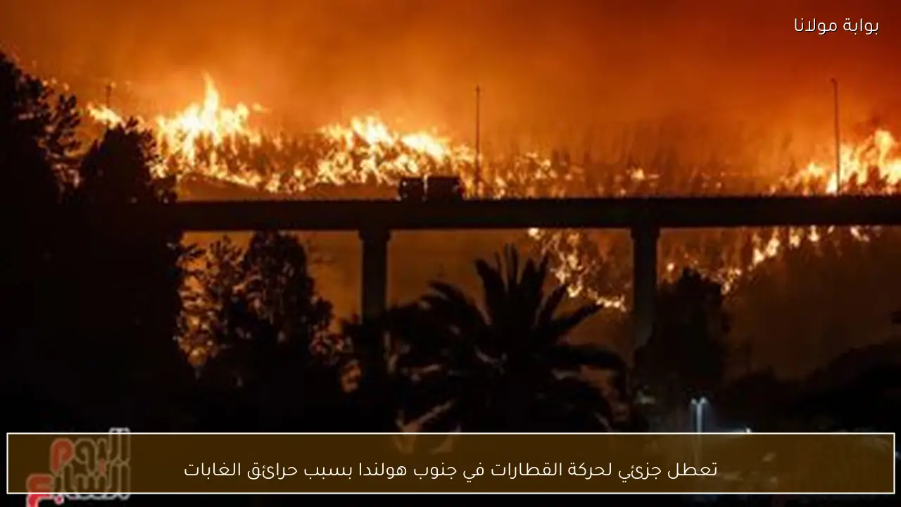 تعطل جزئي لحركة القطارات في جنوب هولندا بسبب حرائق الغابات