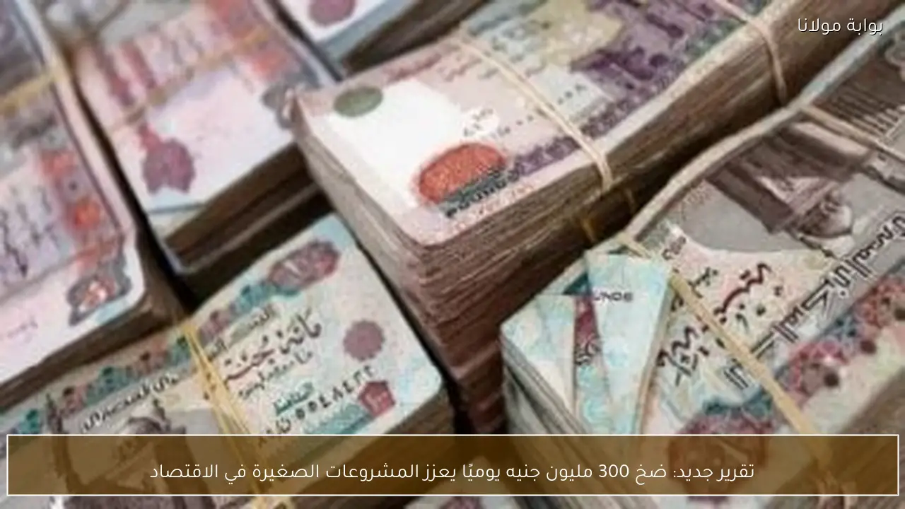 تقرير جديد: ضخ 300 مليون جنيه يوميًا يعزز المشروعات الصغيرة في الاقتصاد