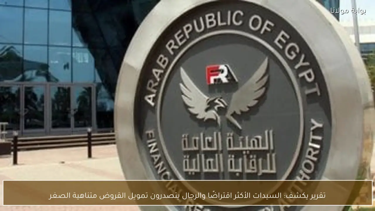 تقرير يكشف: السيدات الأكثر اقتراضًا والرجال يتصدرون تمويل القروض متناهية الصغر