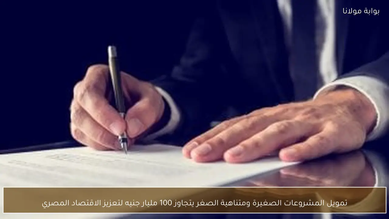 تمويل المشروعات الصغيرة ومتناهية الصغر يتجاوز 100 مليار جنيه لتعزيز الاقتصاد المصري
