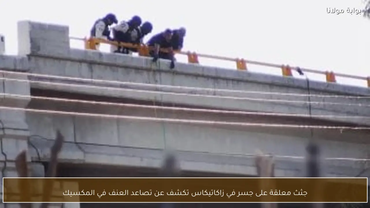 جثث معلقة على جسر في زاكاتيكاس تكشف عن تصاعد العنف في المكسيك