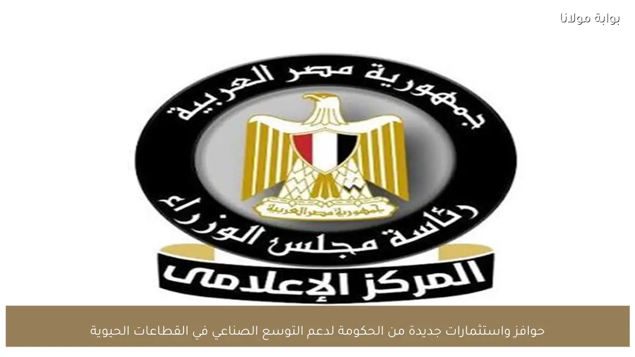 حوافز واستثمارات جديدة من الحكومة لدعم التوسع الصناعي في القطاعات الحيوية