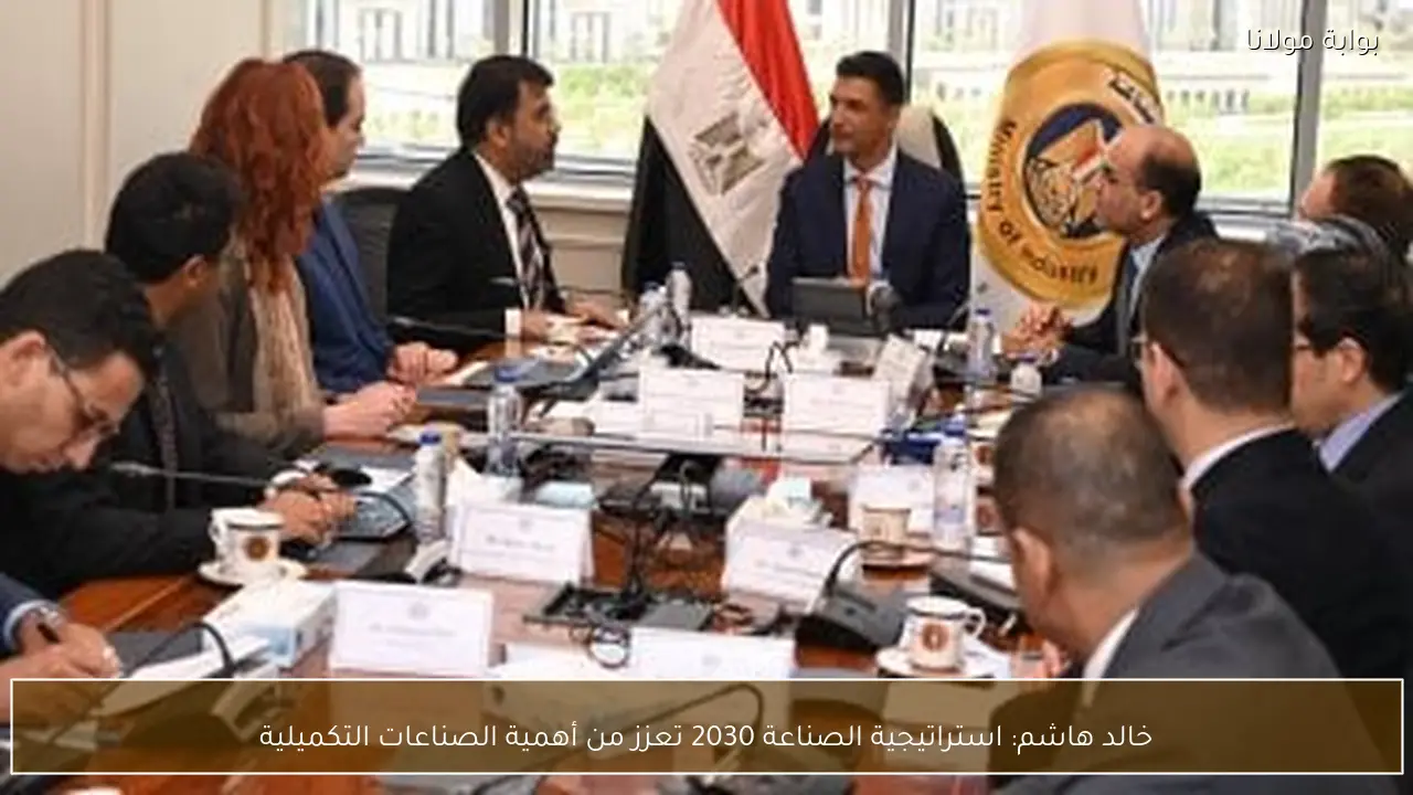 خالد هاشم: استراتيجية الصناعة 2030 تعزز من أهمية الصناعات التكميلية