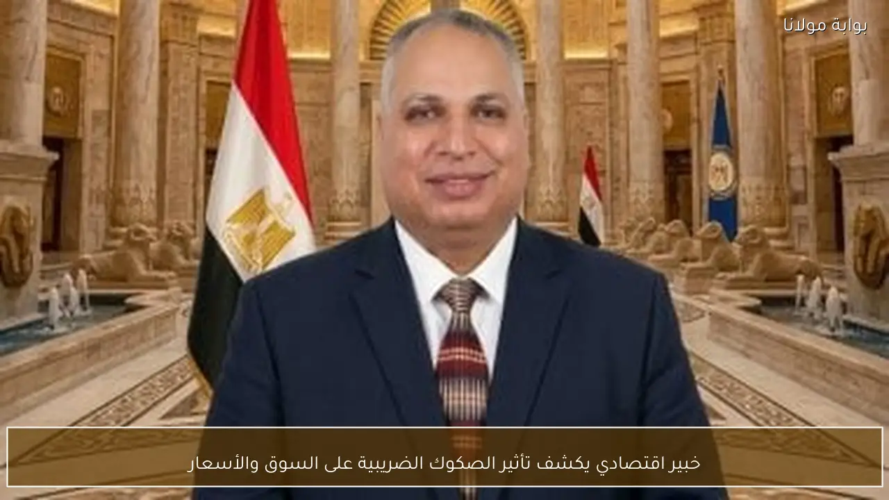 خبير اقتصادي يكشف تأثير الصكوك الضريبية على السوق والأسعار