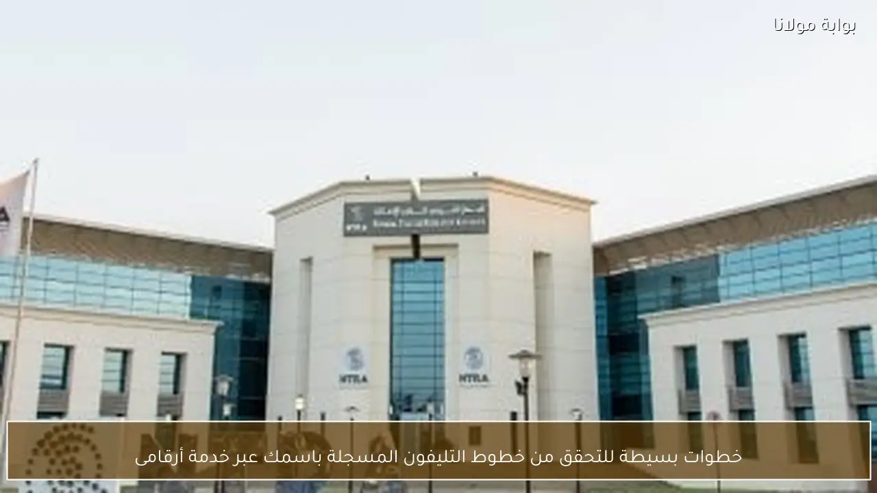 خطوات بسيطة للتحقق من خطوط التليفون المسجلة باسمك عبر خدمة أرقامى