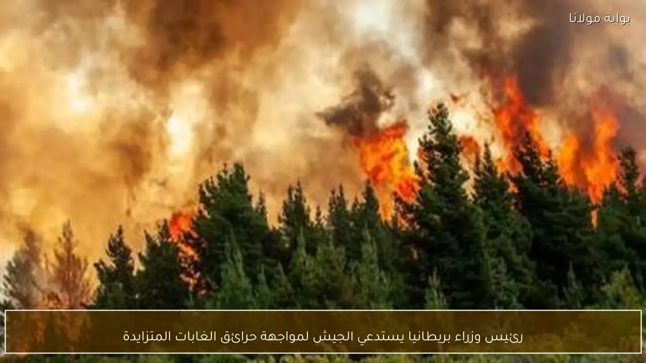 رئيس وزراء بريطانيا يستدعي الجيش لمواجهة حرائق الغابات المتزايدة