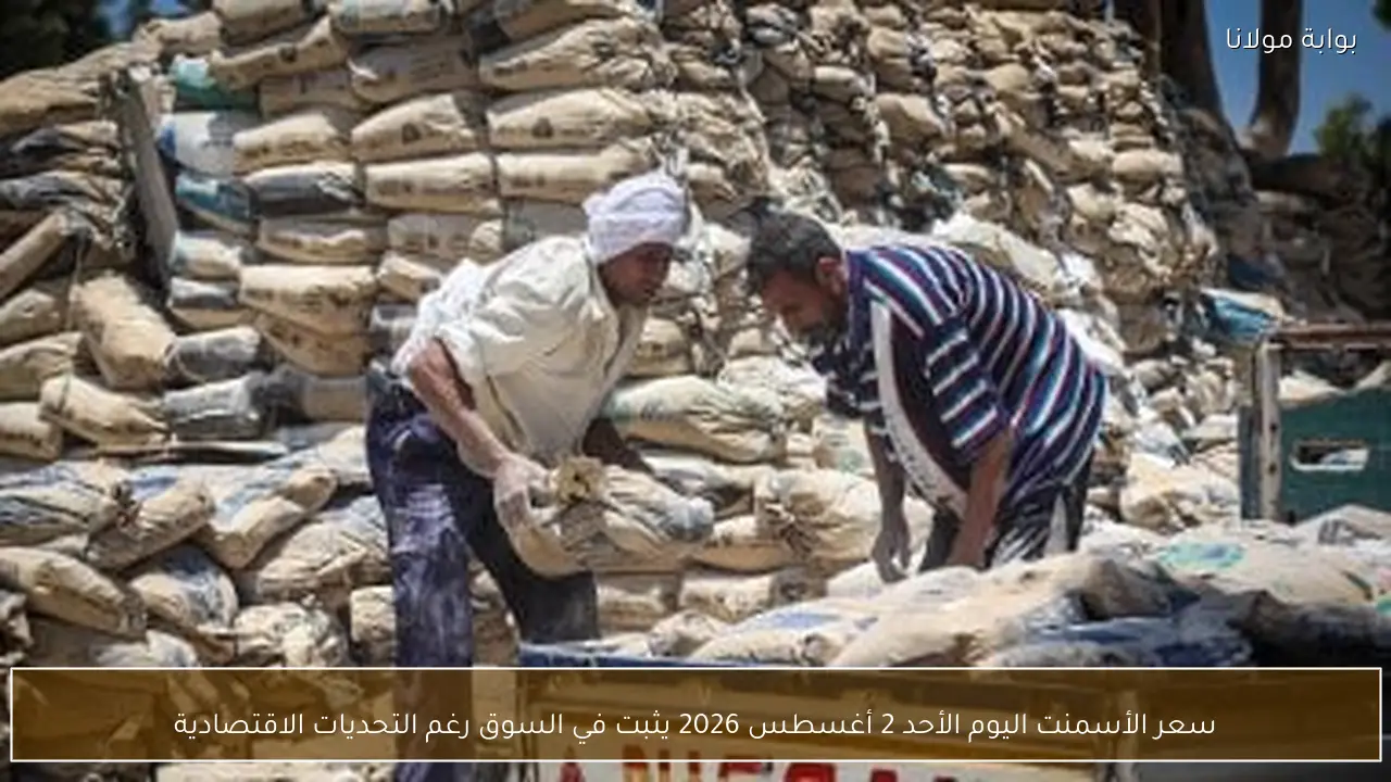 سعر الأسمنت اليوم الأحد 2 أغسطس 2026 يثبت في السوق رغم التحديات الاقتصادية