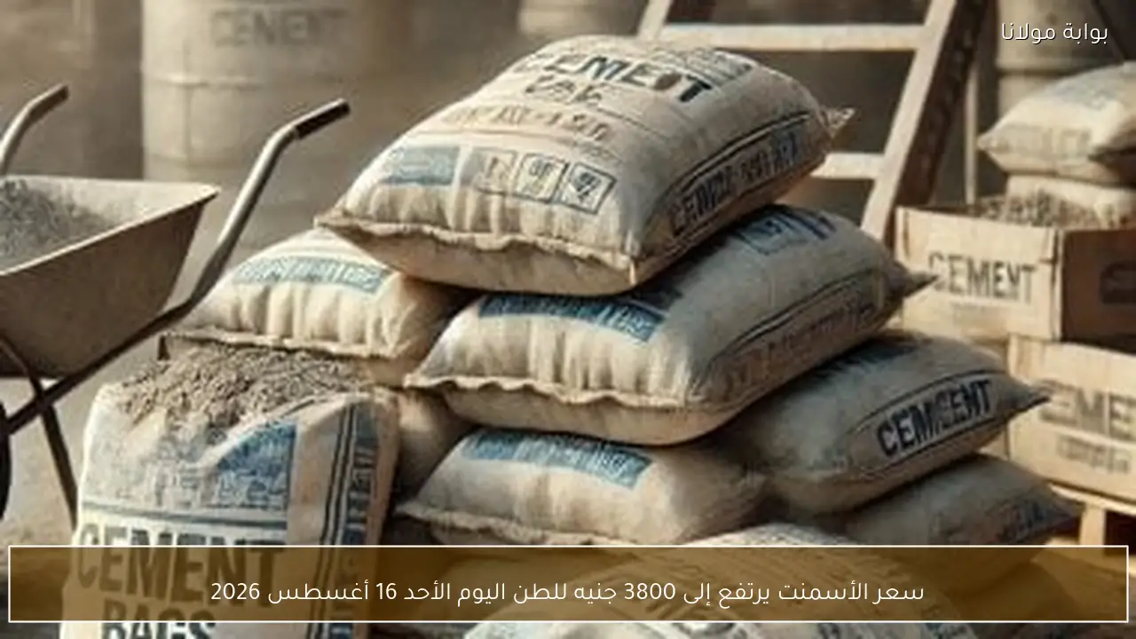 سعر الأسمنت يرتفع إلى 3800 جنيه للطن اليوم الأحد 16 أغسطس 2026