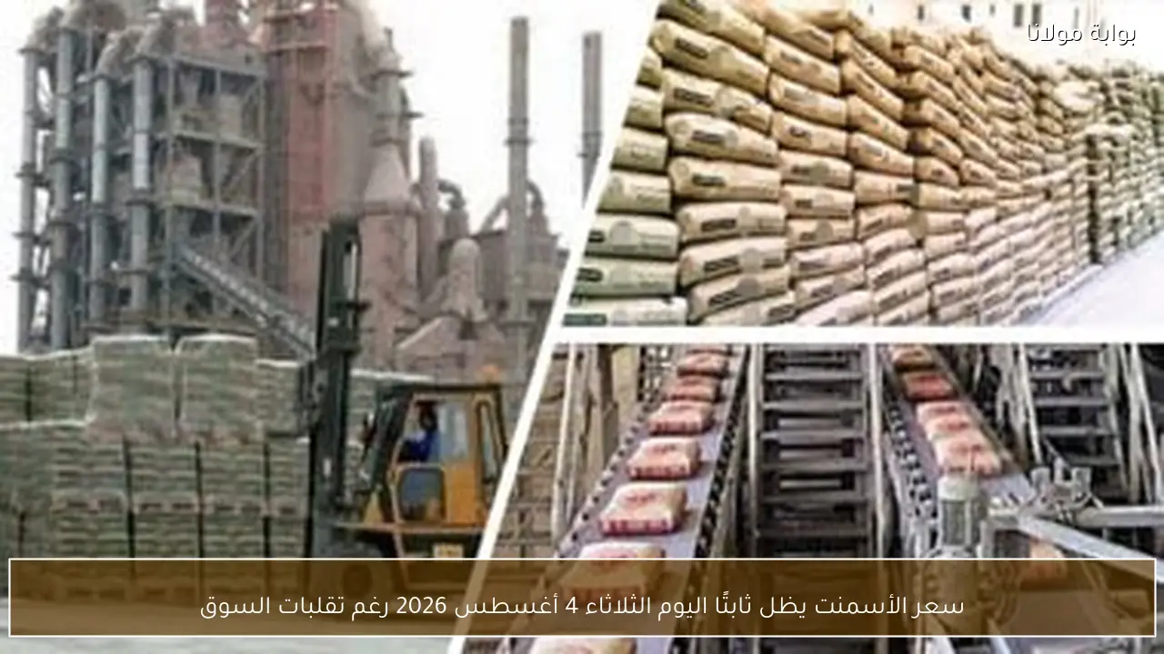 سعر الأسمنت يظل ثابتًا اليوم الثلاثاء 4 أغسطس 2026 رغم تقلبات السوق