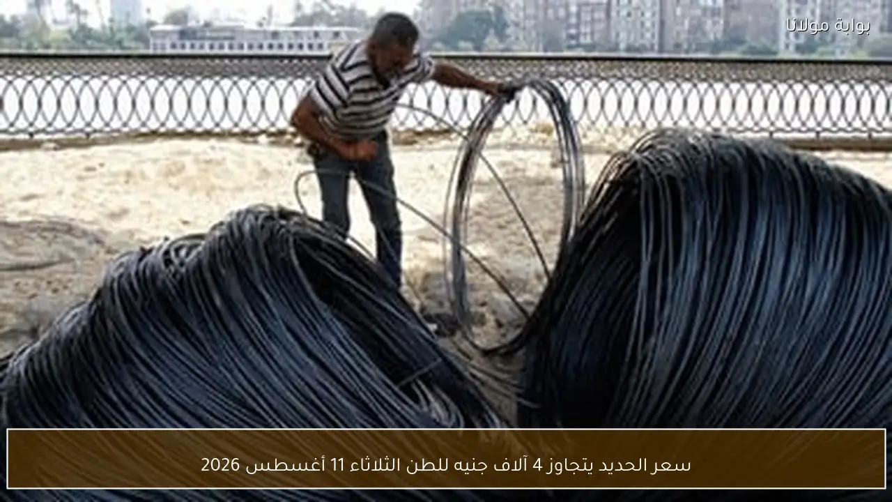 سعر الحديد يتجاوز 4 آلاف جنيه للطن الثلاثاء 11 أغسطس 2026