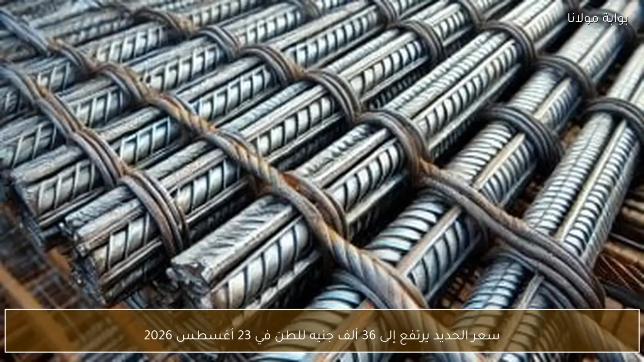 سعر الحديد يرتفع إلى 36 ألف جنيه للطن في 23 أغسطس 2026