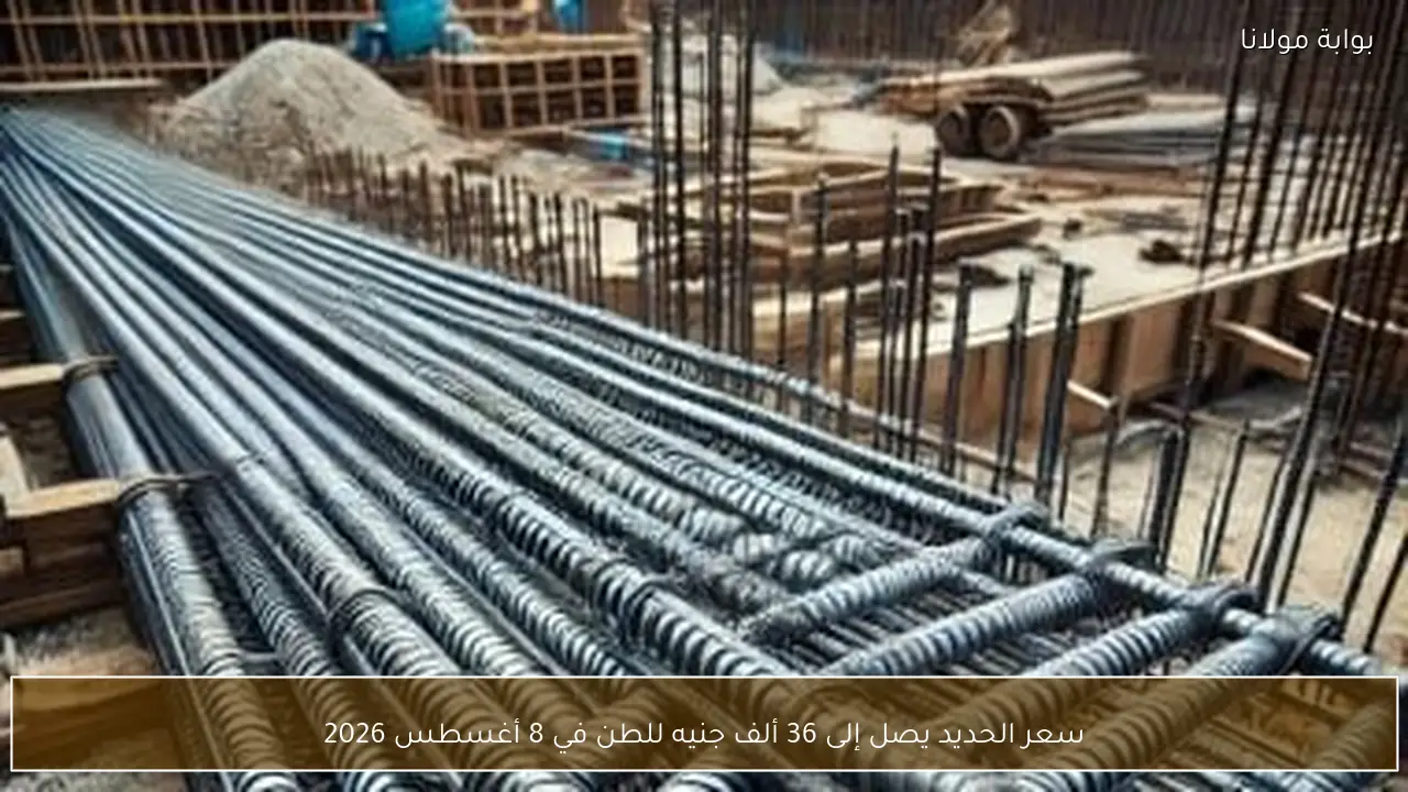 سعر الحديد يصل إلى 36 ألف جنيه للطن في 8 أغسطس 2026
