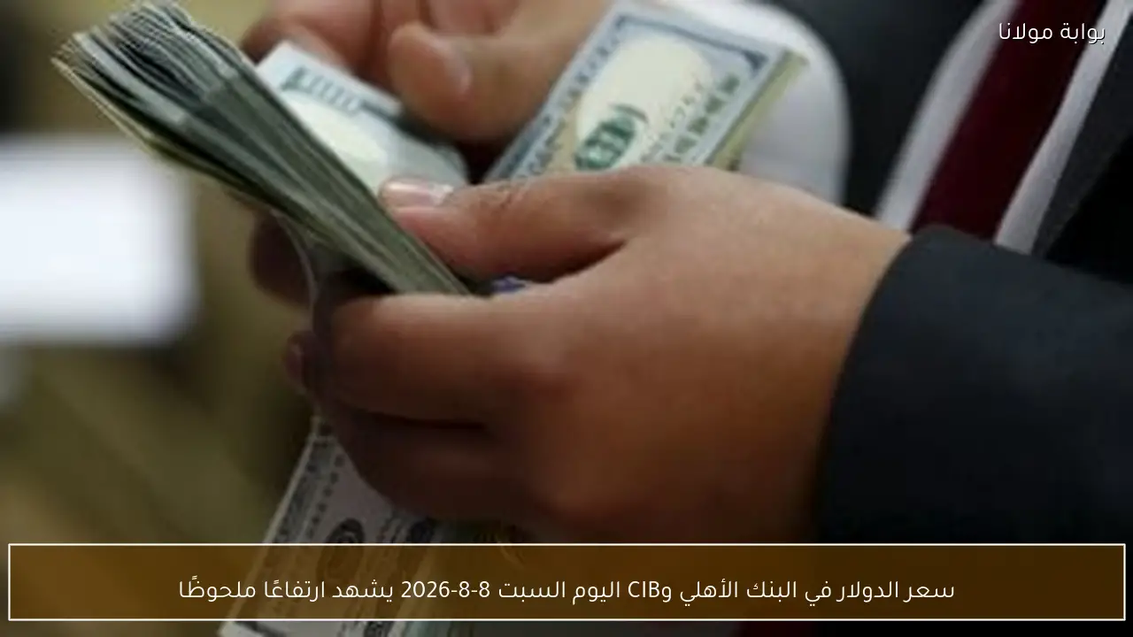 سعر الدولار في البنك الأهلي وCIB اليوم السبت 8-8-2026 يشهد ارتفاعًا ملحوظًا