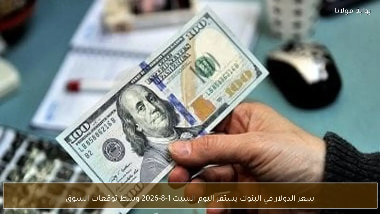 سعر الدولار في البنوك يستقر اليوم السبت 1-8-2026 وسط توقعات السوق