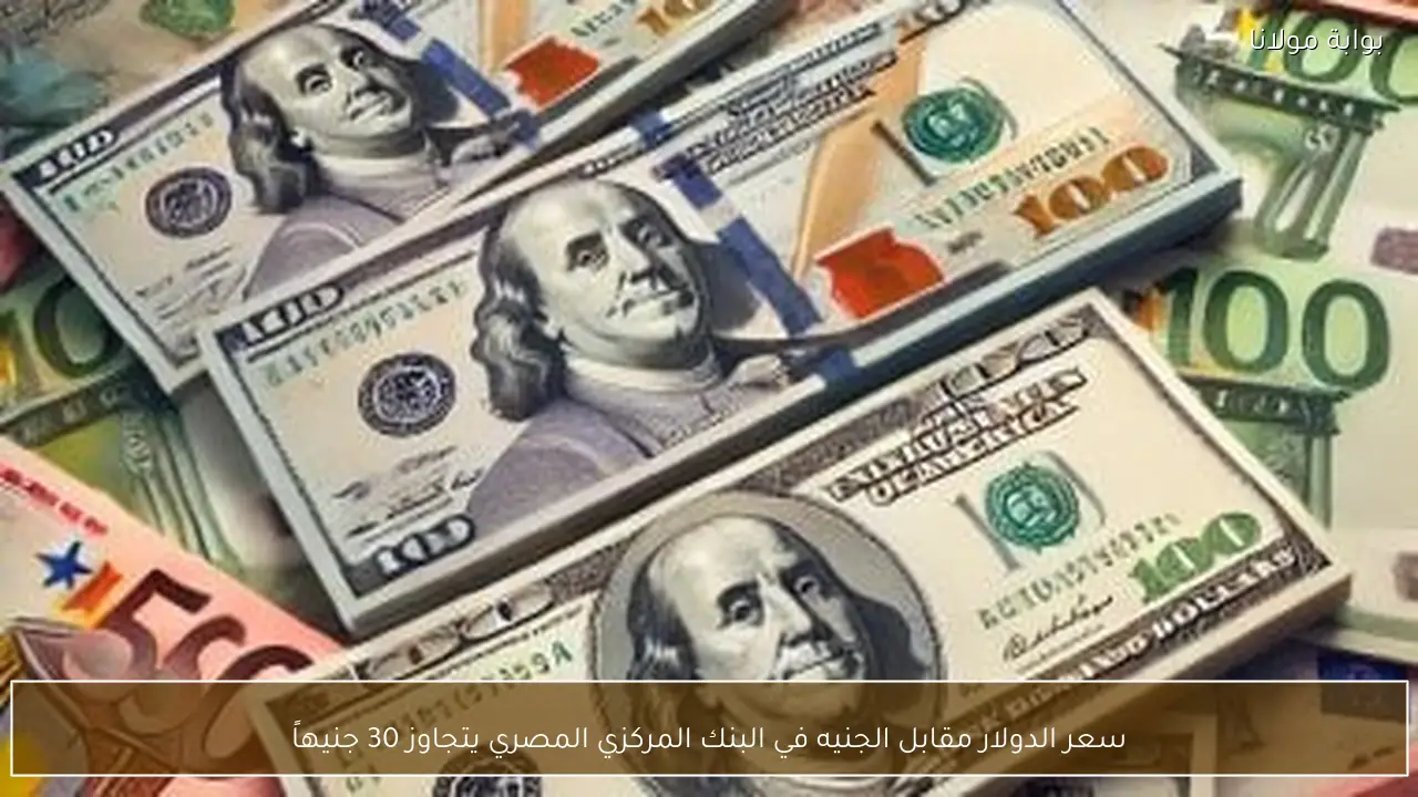 سعر الدولار مقابل الجنيه في البنك المركزي المصري يتجاوز 30 جنيهاً