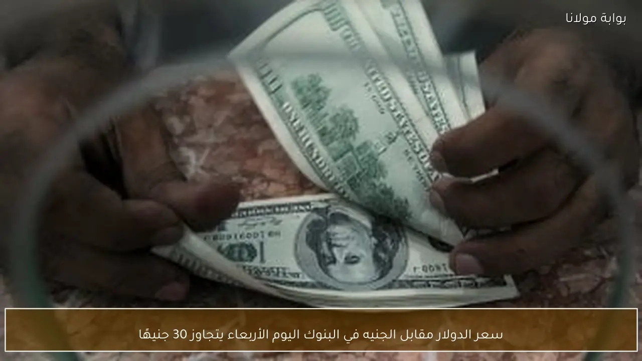 سعر الدولار مقابل الجنيه في البنوك اليوم الأربعاء يتجاوز 30 جنيهًا