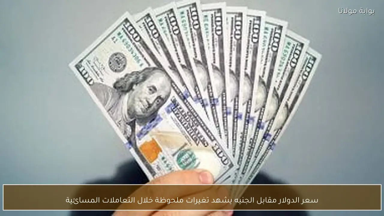سعر الدولار مقابل الجنيه يشهد تغيرات ملحوظة خلال التعاملات المسائية