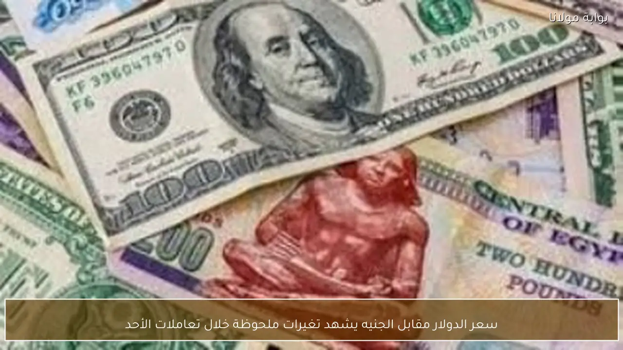 سعر الدولار مقابل الجنيه يشهد تغيرات ملحوظة خلال تعاملات الأحد