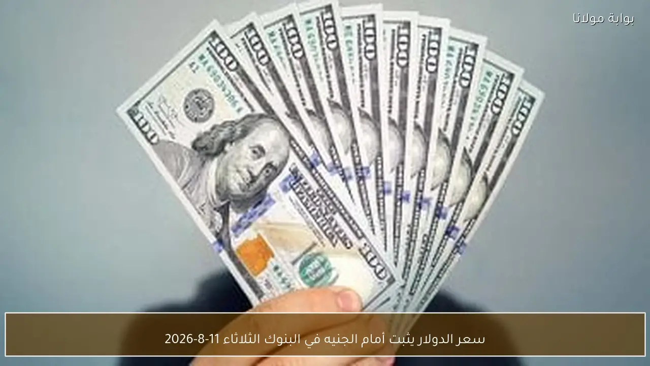 سعر الدولار يثبت أمام الجنيه في البنوك الثلاثاء 11-8-2026