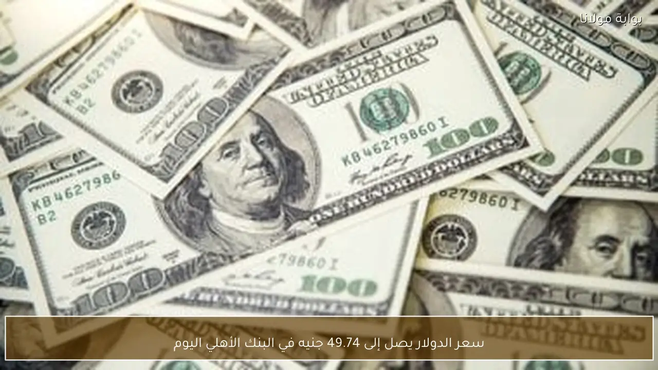 سعر الدولار يصل إلى 49.74 جنيه في البنك الأهلي اليوم