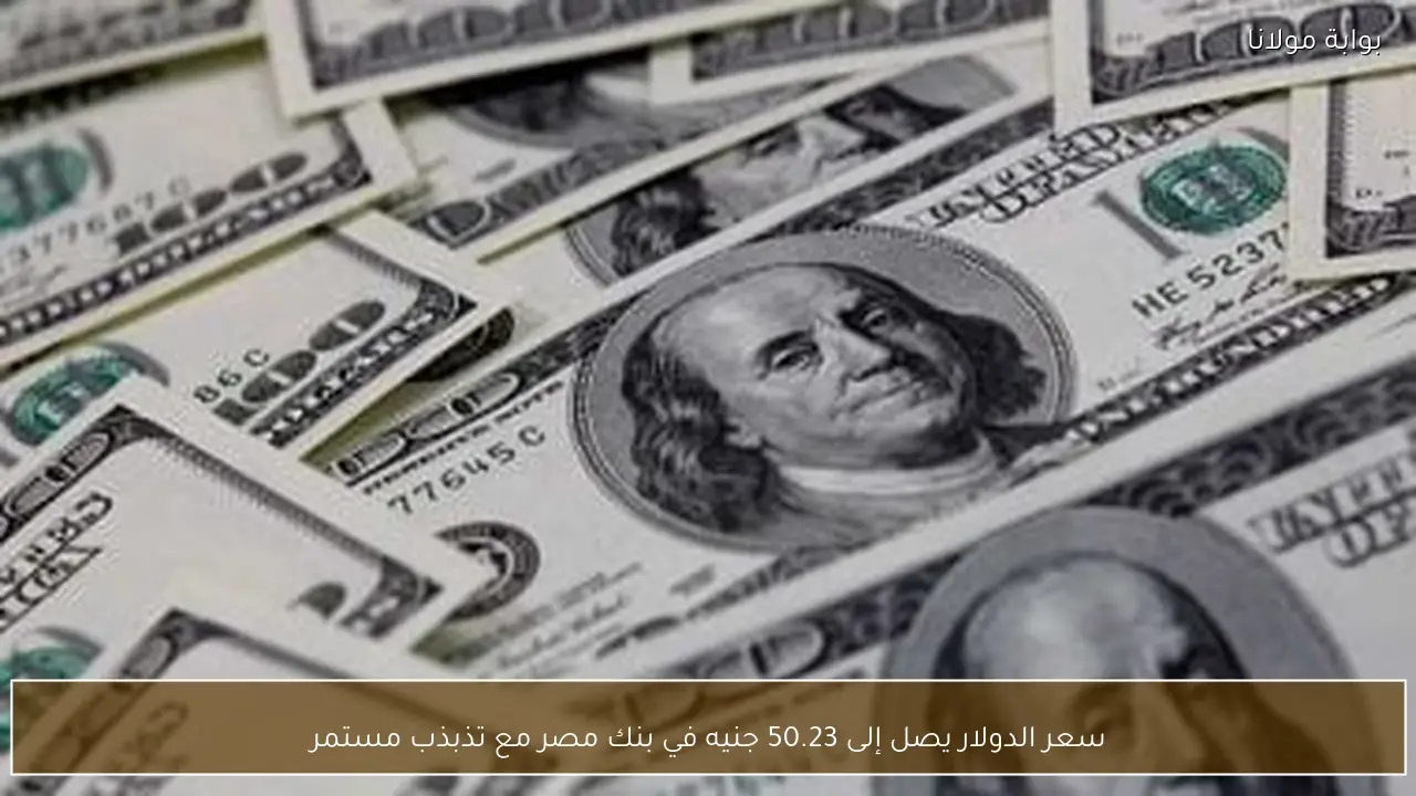 سعر الدولار يصل إلى 50.23 جنيه في بنك مصر مع تذبذب مستمر