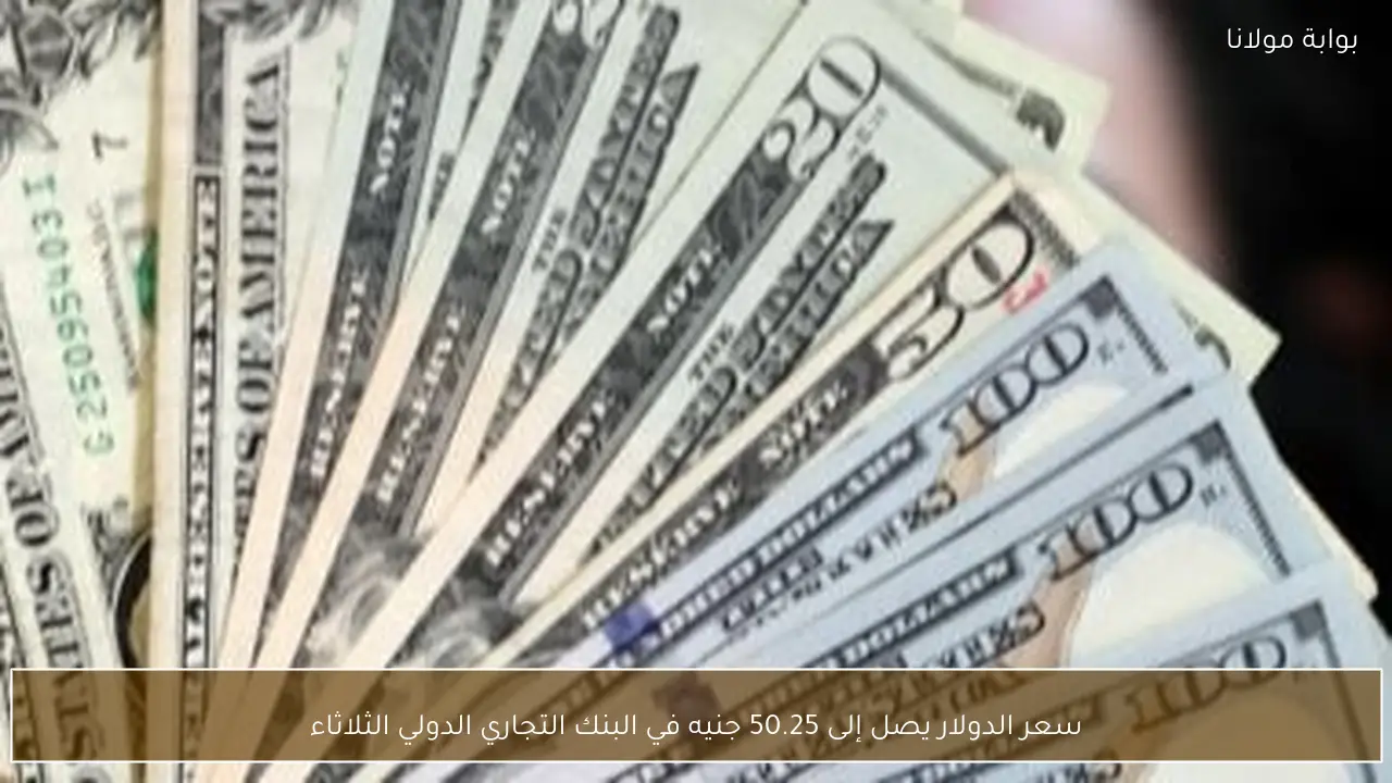 سعر الدولار يصل إلى 50.25 جنيه في البنك التجاري الدولي الثلاثاء