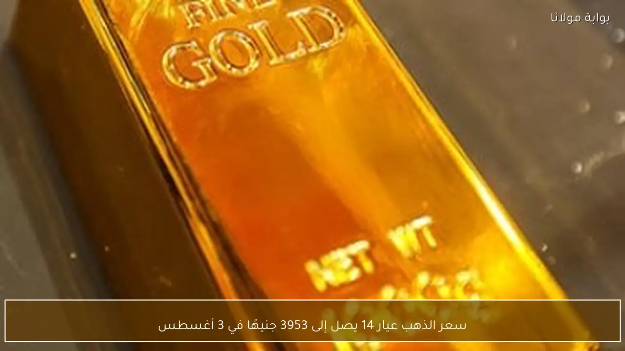 سعر الذهب عيار 14 يصل إلى 3953 جنيهًا في 3 أغسطس