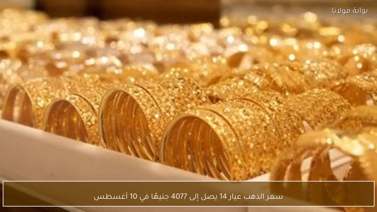 سعر الذهب عيار 14 يصل إلى 4077 جنيهًا في 10 أغسطس