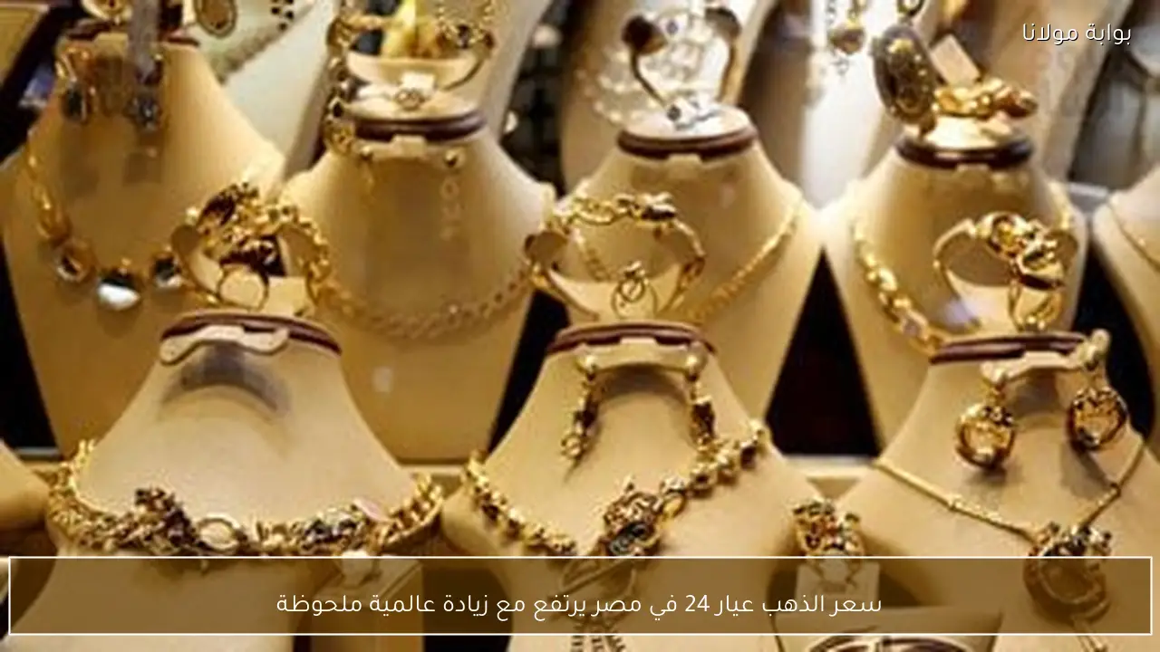 سعر الذهب عيار 24 في مصر يرتفع مع زيادة عالمية ملحوظة